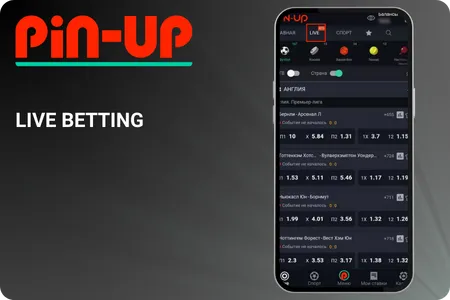 pin-up bet app